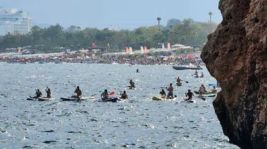 Akdeniz foklarına 'kürek sörfü' tehdidi