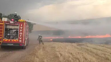 Batman ve Mardin'de çıkan yangında 60 dönüm anız ve meyve ağaçları yandı