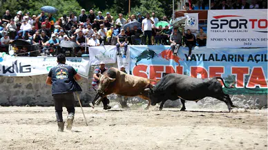 Rize'de "28. Çamlıhemşin Ayder Kültür, Sanat ve Doğa Festivali" sona erdi