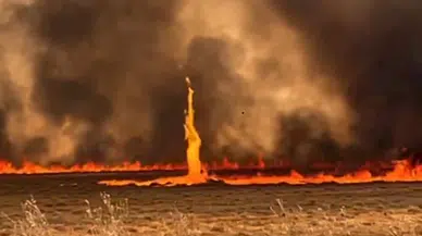 Şırnak’ta son 1 ayda, 202 yangında 23 bin dönüm alan zarar gördü