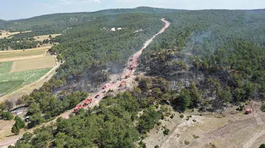 Kütahya'daki orman yangını, erken müdahaleyle büyümeden kontrol altına alındı