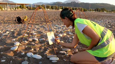Çıralı'da deniz kaplumbağası yuva sayısı geçen yılı aştı; 30 yılın rekoru bekleniyor