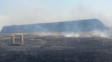 Mardin’de aynı tarlada 4’üncü vaka: Bin 500 ton saman alev alev yandı