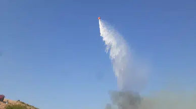 Manisa’da orman yangınında 3 hektar alan tahrip oldu