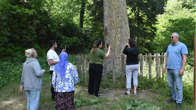 Örümcek Ormanları ziyaretçilerine doğayla iç içe vakit geçirme imkanı sunuyor