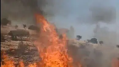 Mardin'de anız ve örtü yangını; tonlarca saman balyası yandı, ağaçlar zarar gördü