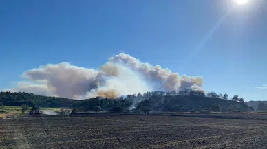 Çanakkale'de 2 yangında 952 futbol sahası büyüklüğündeki alan zarar gördü