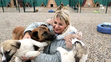 Hasta köpeklerin Ankara'ya taşınması davasında tahliye / Fotoğraf
