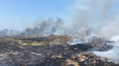 Anız yangınında alevler buğday tarlasına sıçradı