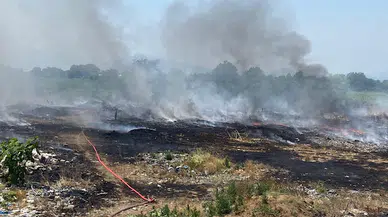 Düzce'de çöplük alanda çıkan yangın buğday ve mısır tarlalarına sıçradı