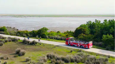 Kızılırmak Deltası Kuş Cenneti'ni bayram tatilinde 8 bin 500 kişi gezdi