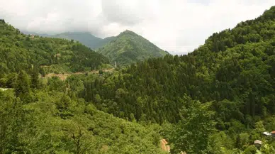 Artvin Valiliği'nden Yaz Dönemi İçin Yangın Uyarısı: "Yeşil Vatan Hepimizin"