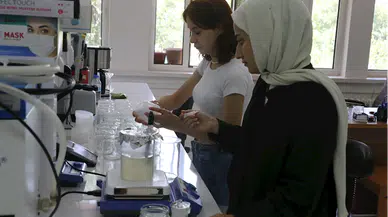 Tokat'ta üniversitede tescilli yeni patates türleri geliştirmek için çalışma yürütülüyor