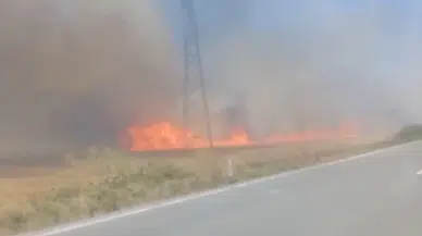TEKİRDAĞ'da 180 dönüm ekili buğday yandı; 3 kişi dumandan etkilendi (VİDEO EKLENDİ)