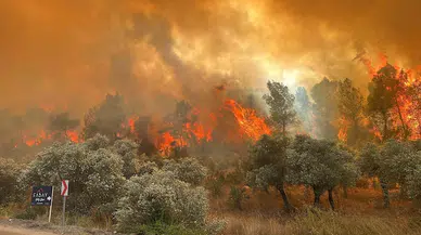 Muğla'da olası orman yangınlarına karşı tedbirler alındı