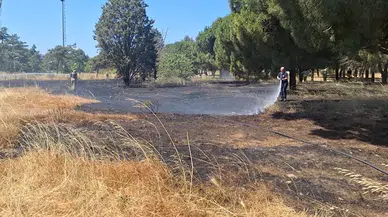 İstanbul- Marmara Üniversitesi'nde çıkan ot yangını söndürüldü 