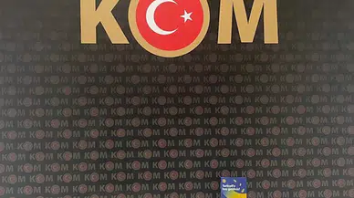 Ordu'da suç örgütü operasyonunda yakalanan 2 şüpheli tutuklandı