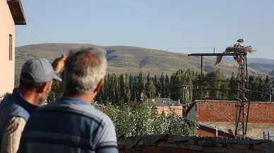 Bayburtlu köylülerin yarım asırlık leylek özlemini dindiren "Hasret" bu yıl da geldi 