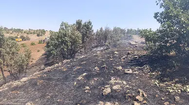 Mardin'de örtü yangını