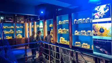 Deniz ürünleri mezarlığı, sözde müze boşaltıldı