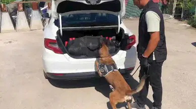 Malatya'da 44 kilo skunk ele geçti; 3 gözaltı