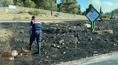 Çanakkale'de makilikte çıkan yangın, antik kente sıçradı (2)