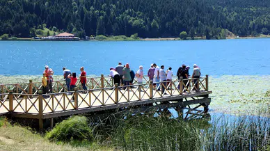 Bolu’da, ormanlara giriş ile milli park ve tabiat parklarında mangal yakmak 1 Temmuz'dan itibaren yasak