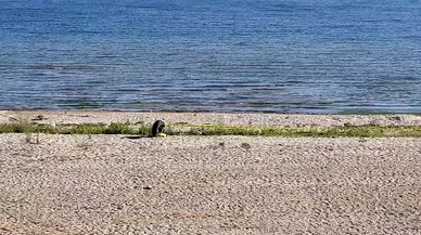 Eğirdir Gölü'ndeki el bombaları imha edilmek üzere çıkarıldı
