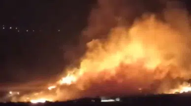 Gaziantep’te, anız yangınında 110 zeytin ağacı zarar gördü