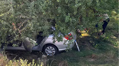 Samsun'da tarlaya devrilen otomobildeki 3 kişi yaralandı
