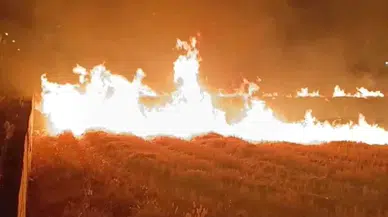 Batman’da anız yangınında 15 dönüm arazi zarar gördü