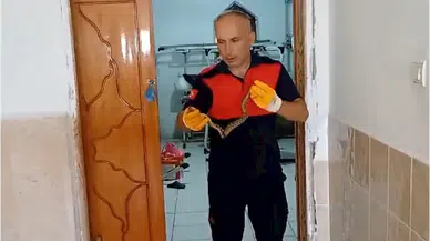 Çorum'da Kur'an kursu binasına giren yılan itfaiye ekiplerince çıkarıldı