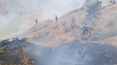 Bingöl'de örtü yangını