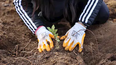 Yeşil Dönüşüm Ormanları projesi ile 80 bin metrekarelik yeşil alan oluşturuldu