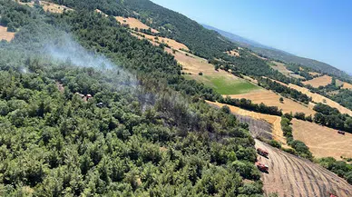 Balıkesir'de arazide çıkan yangın ormana sıçradı (2)