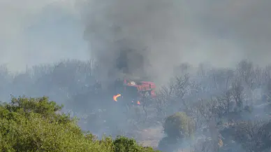 Çanakkale'de makilikte çıkan yangın, antik kente sıçradı (3)
