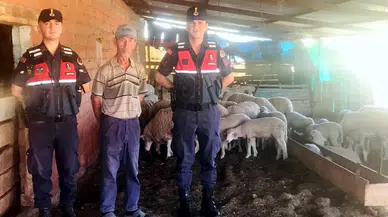 Kayıp sürüyü jandarma dronla buldu