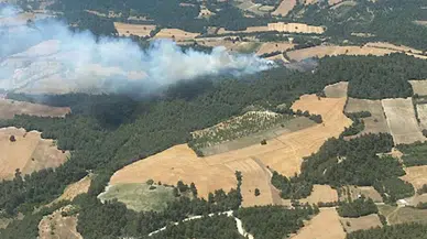 Balıkesir'de arazide çıkan yangın ormana sıçradı