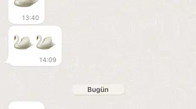 Kuğu emojili ilaç parası olayında doktorlar hakkındaki soruşturma genişletildi