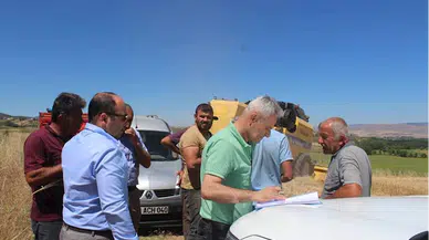 Tokat'ta hubat hasadı sürüyor