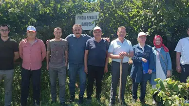 19 Mayıs ilçesinde fındık rekolte tespit çalışmaları başladı