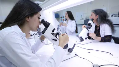 Bartın'dan kısa kısa