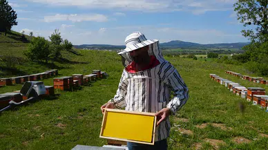 Kastamonu'da arıcılar atıl bal mumlarını değerlendirerek maliyeti düşürüyor