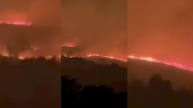 Malatya'da örtü yangınında 400 dönüm alan zarar gördü