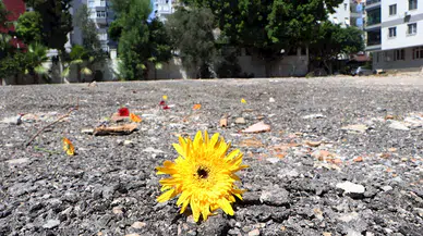 12 kişinin öldüğü apartmanın eski yöneticisi: İşçiliğin kötü olduğu konuşuluyordu