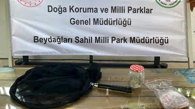 Ormanda izinsiz böcek toplarken yakalanan Rus akademisyene 378 bin 141 lira ceza