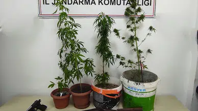 Karabük'te uyuşturucu operasyonunda 1 zanlı yakalandı