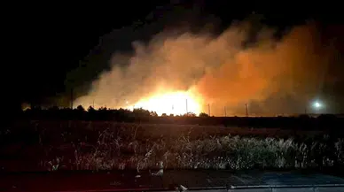 Elazığ'da çıkan örtü yangını kontrol altına alındı (2)