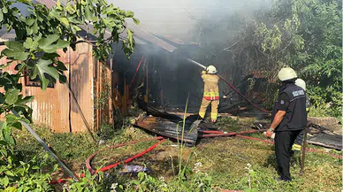 Düzce'de barakada çıkan yangında 17 güvercin öldü