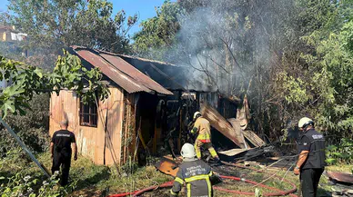 Barakadaki yangında 17 cins güvercin öldü